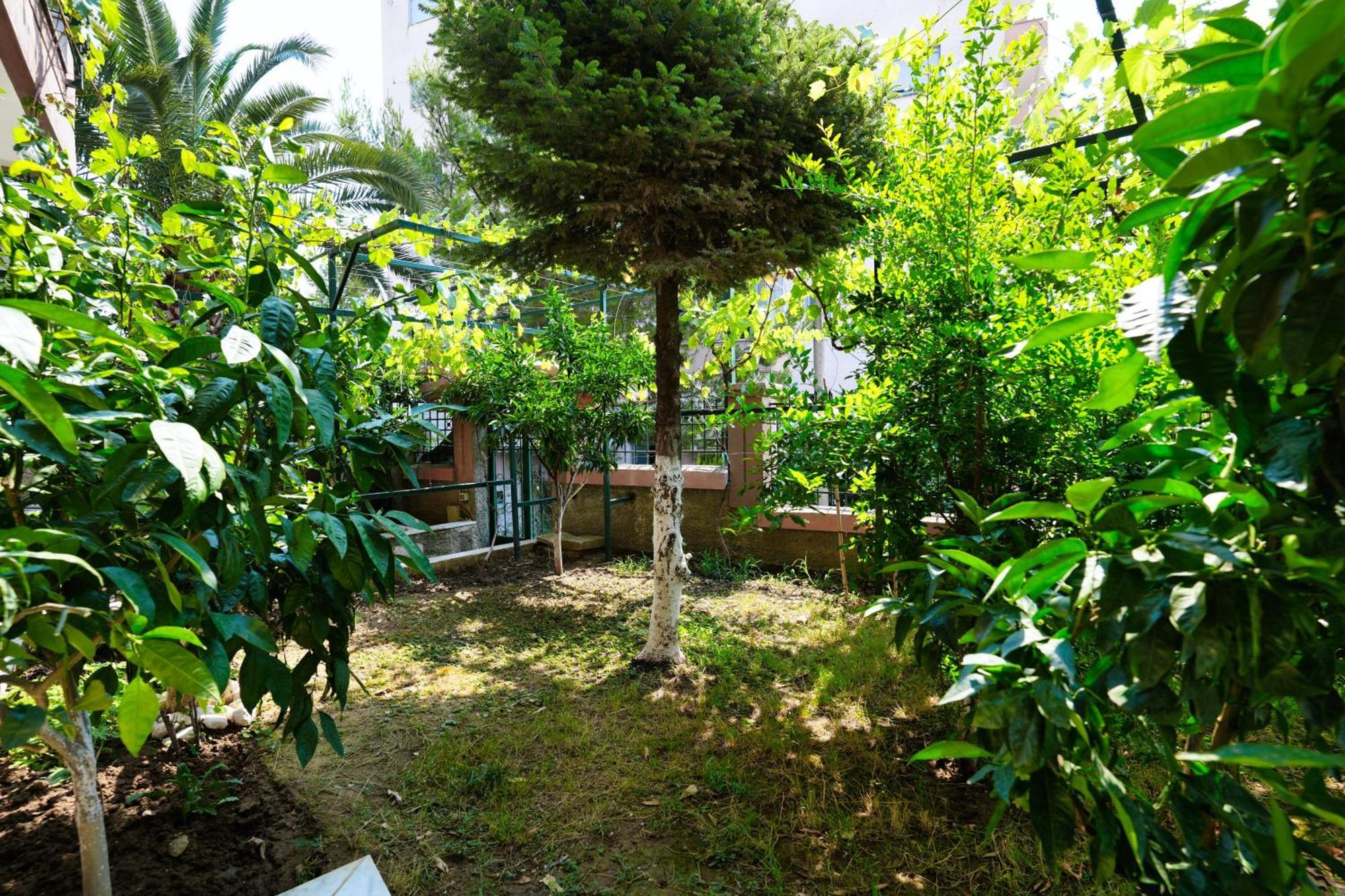 Gjirokastër The View Rooms And Terrace מראה חיצוני תמונה